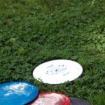 Discs in the grass